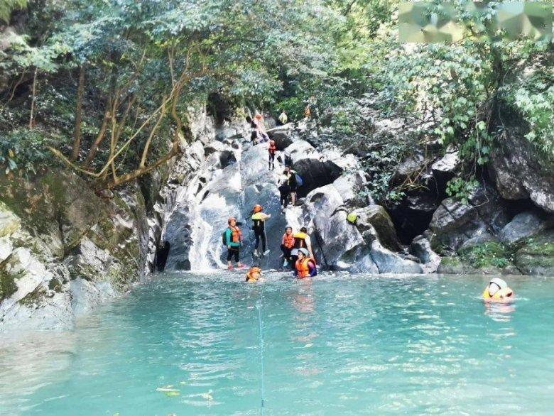 中国紫杉醇生物合成研究世界领先